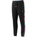 2022 Adidas Tiro Pride Pants--City Sports