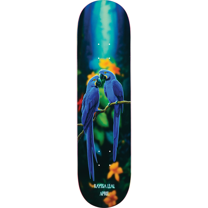 April Leal Blue Macaw Deck, 8.25