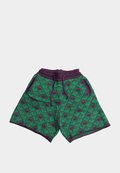 Ashluxe Monogram Knitted Shorts in Purple and Green with drawstring waist and geometric knit pattern.