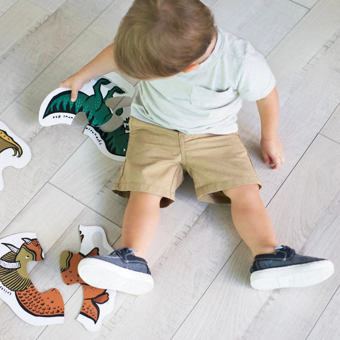 Beginner Puzzle Dino