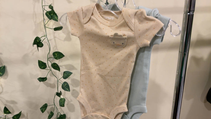 Carter's Bodysuit Preemie
